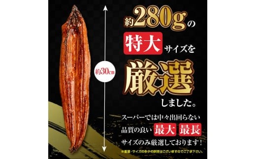 うなぎの蒲焼５尾 タレ付き（４本）　YZ004