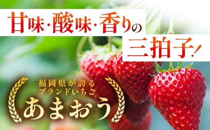 【3月発送】福岡県産あまおう約250g×4パック 3月発送