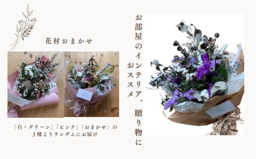 ドライフラワー季節の花定期便（年３回）（白・グリーン、ピンク、おまかせ）の3種よりランダムにお届け　XY003