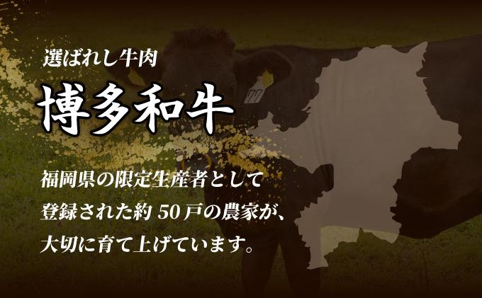 博多和牛切落し500g×2パック (計1kg) 1kg