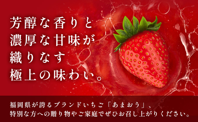 【2月発送】福岡県産あまおう約250g×4パック