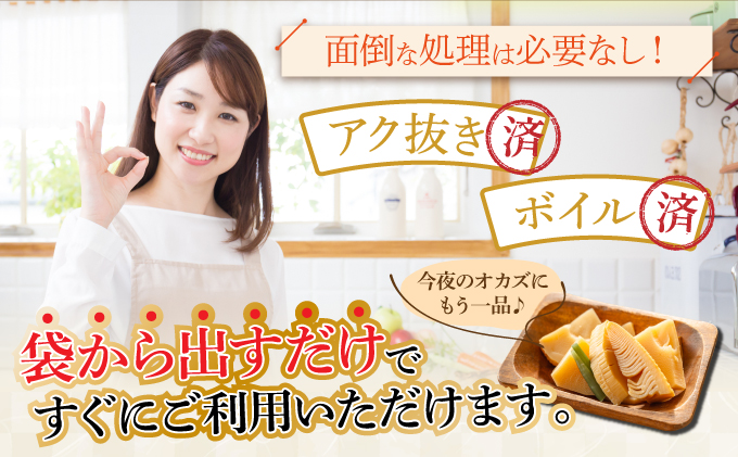 篠栗産たけのこの水煮200g×3パック BZ025