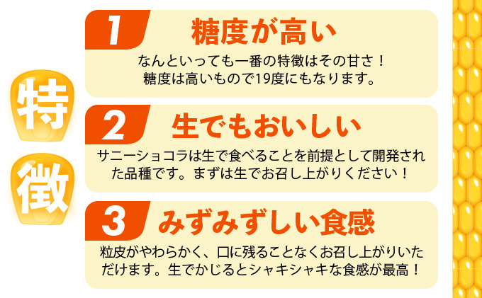 KW001 上品な甘さのトウモロコシ「サニーショコラ」(3.5kg前後・10本)