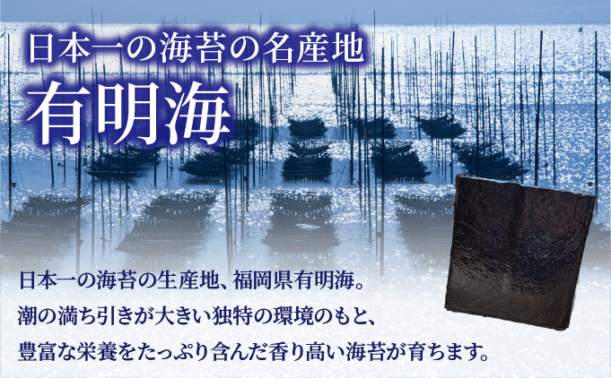 訳あり有明海苔100枚（50枚×2束）PE016