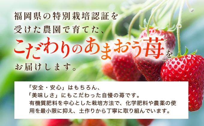 福岡県産 特別栽培 あまおう L~2Lサイズ（少し小ぶりサイズ）約1140g（約285g×4パック）【2〜4月発送】