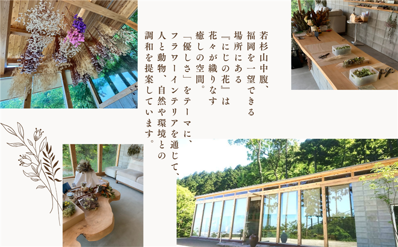 ドライフラワー季節の花定期便（年３回）（白・グリーン、ピンク、おまかせ）の3種よりランダムにお届け　XY003