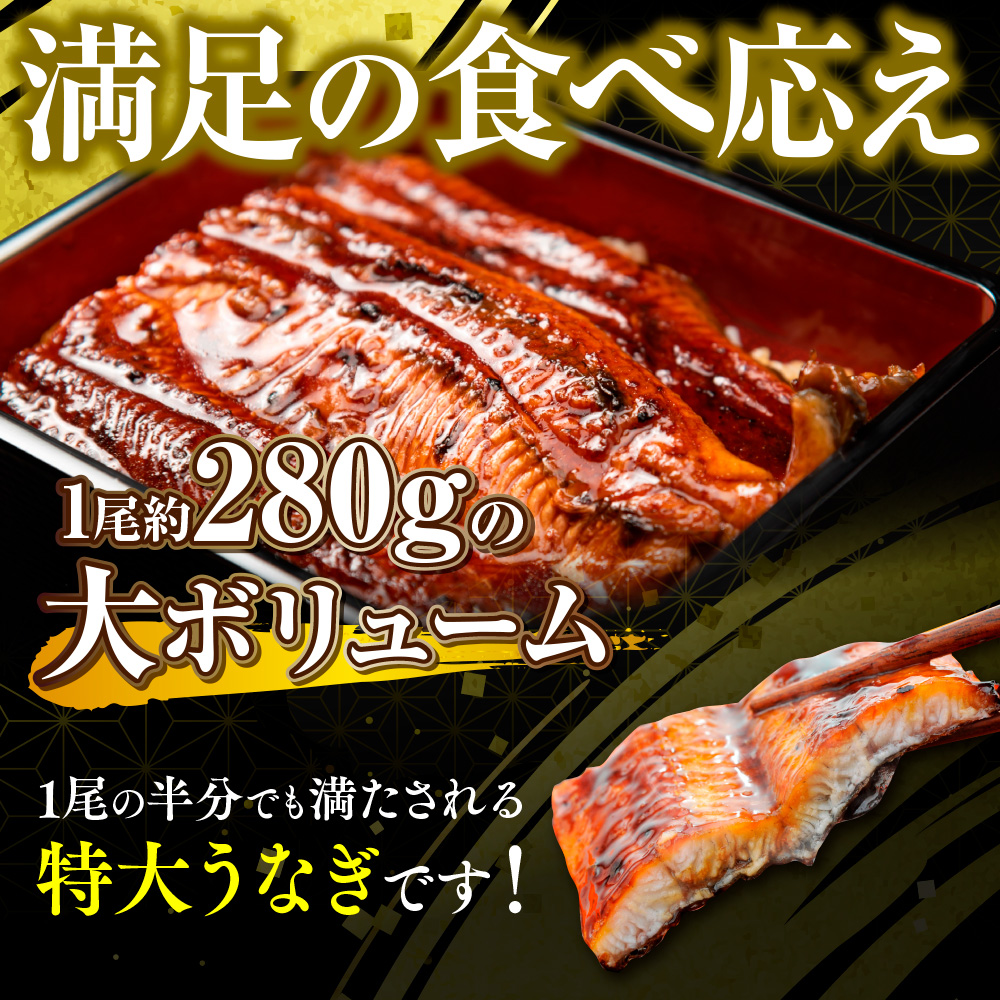 うなぎの蒲焼５尾 タレ付き（４本）　YZ004