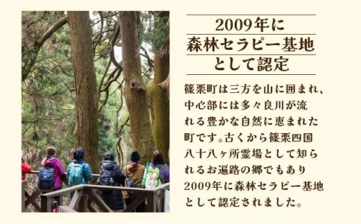 篠栗町森林セラピー体験1～3名様【篠栗九大の森コース（約2km/約2時間）】FZ005