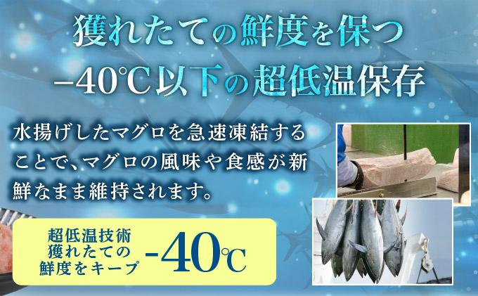 まぐろたたき 100g×12P　LZ007 1.2kg(100g×12P)