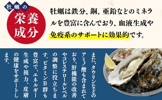 カキフライ 約1000ｇ（約500ｇ×2）40粒 牡蠣フライ かきフライ　RZ002