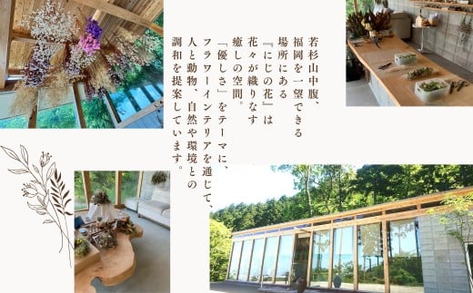 ドライフラワー季節の花定期便（年３回）（白・グリーン、ピンク、おまかせ）の3種よりランダムにお届け　XY003