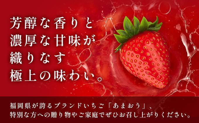 【3月発送】福岡県産あまおう約250g×4パック 3月発送