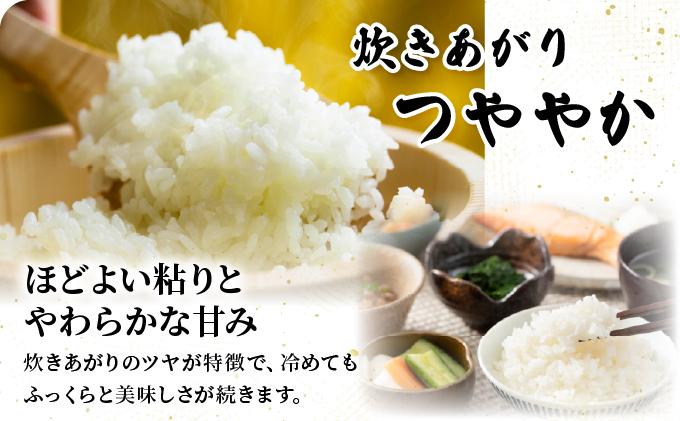 【令和7年産】福岡県産夢つくし5kg