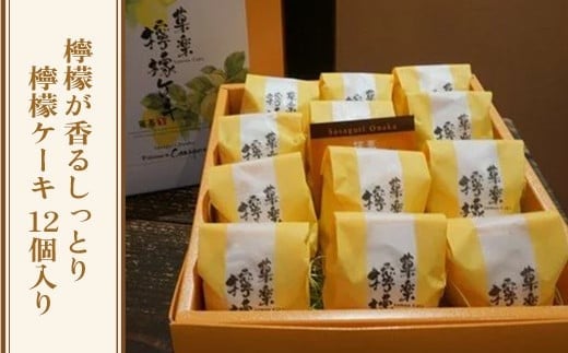 檸檬が香るしっとり檸檬ケーキ　GZ001