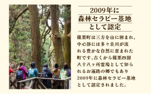 森林セラピー＆スワッグ（苔玉）づくり体験2名様 FZ006