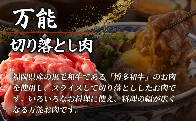 博多和牛切落し500g×2パック (計1kg) 1kg