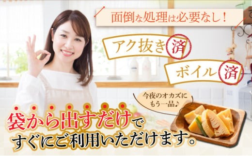 篠栗産たけのこの水煮200g×5パック BZ027 200g×5パック