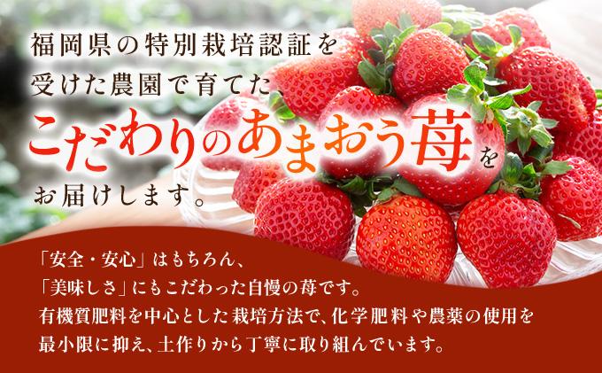福岡県産 特別栽培 あまおう L~2Lサイズ（少し小ぶりサイズ）約1140g（約285g×4パック）【2～4月発送】 L~2Lサイズ 2~4月発送
