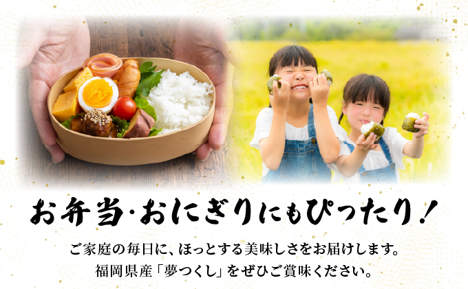 【令和7年産】福岡県産夢つくし5kg