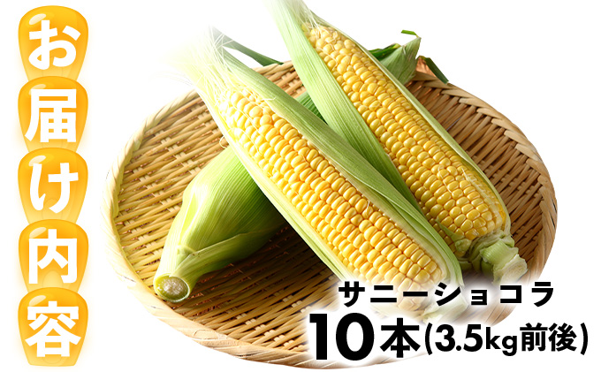 KW001 上品な甘さのトウモロコシ「サニーショコラ」(3.5kg前後・10本)