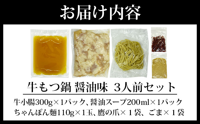 牛もつ鍋 醤油味 3人前セット PE001