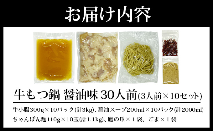 牛もつ鍋 醤油味 30人前（3人前×10セット）PE004
