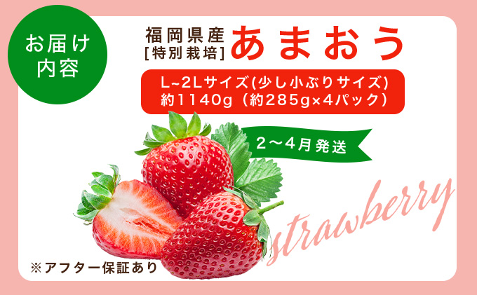 福岡県産 特別栽培 あまおう L~2Lサイズ（少し小ぶりサイズ）約1140g（約285g×4パック）【2〜4月発送】