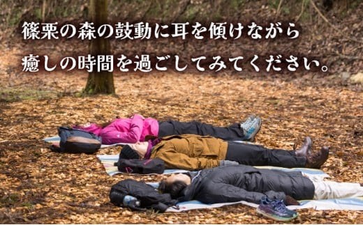 篠栗町森林セラピー体験1～3名様【落陽コース（1.75km/約2時間）】FZ004