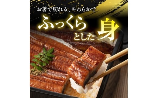 うなぎの蒲焼５尾 タレ付き（４本）　YZ004