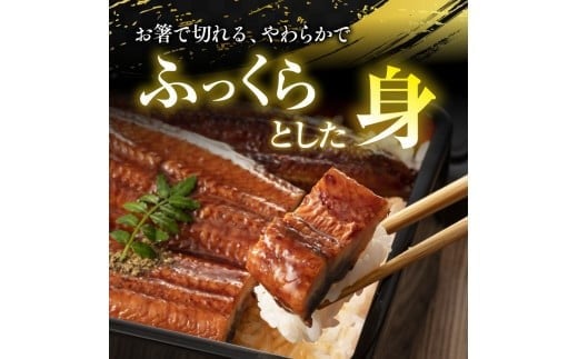 うなぎの蒲焼４尾 タレ付き（３本）　YZ003