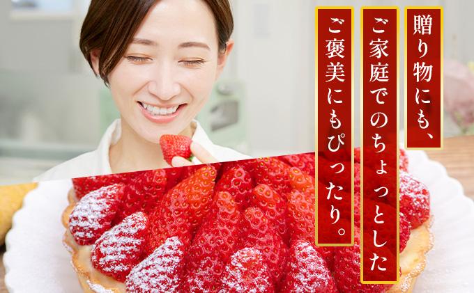 福岡県産 特別栽培 あまおう サイズいろいろMIX 約1140g（約285g×4パック）【4月発送】 サイズMIX 4月発送