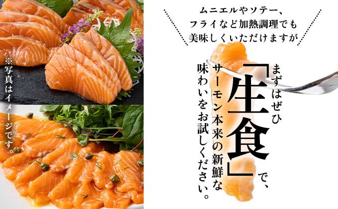 アトランティックサーモン 刺身用柵 900g（養殖）| サーモン 鮭 刺身用サーモン 海鮮 冷凍 お取り寄せ ギフト セット 人気 高級 トロサーモン 寿司用 カルパッチョ用 海鮮丼用 大容量 高級食材