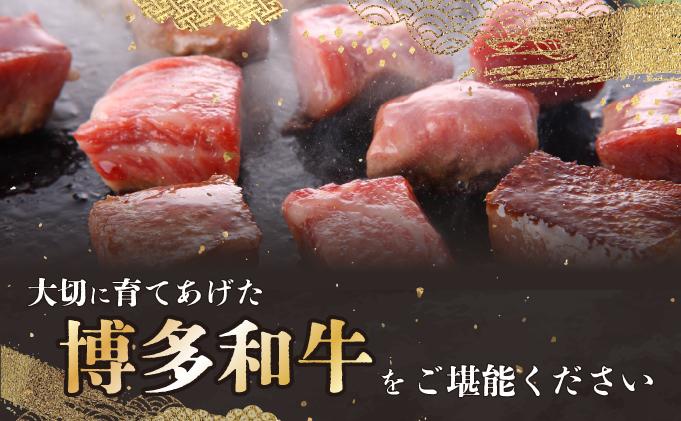 博多和牛ヒレサイコロステーキ500g ヒレサイコロステーキ500g