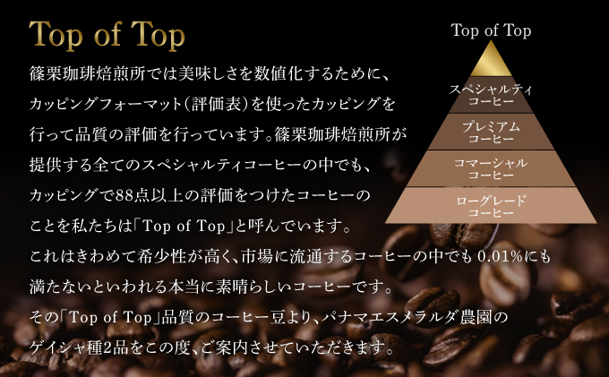 パナマ エスメラルダ農園ゲイシャ２種の詰め合わせセット 100g×2袋 (豆）　AX04
