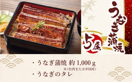 お魚屋さんのうなぎ蒲焼 約1000g（5尾）ウナギ ふっくら肉厚 大容量　RZ001