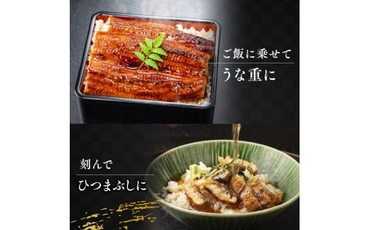 うなぎの蒲焼２尾 タレ付き（１本）　YZ001