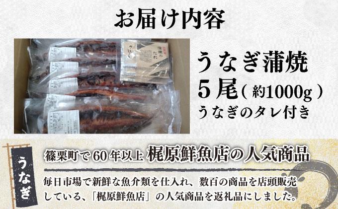 うなぎ蒲焼 約1,000g(5尾)タレ付き | うなぎ 土用の丑の日 蒲焼 うなぎ蒲焼 1kg 5尾 タレ付き うな重 うなぎ丼 鰻 冷凍 お取り寄せ ギフト 人気 大容量 高級食材