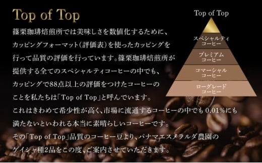 パナマ エスメラルダ農園ゲイシャ２種の詰め合わせセット 100g×2袋 (豆）　AX04