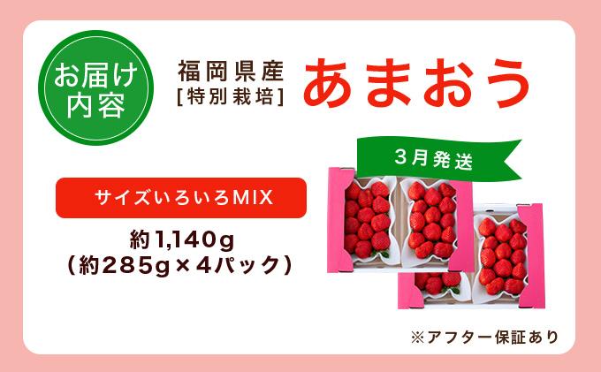 福岡県産 特別栽培 あまおう サイズいろいろMIX 約1140g（約285g×4パック）【3月発送】 サイズMIX 3月発送