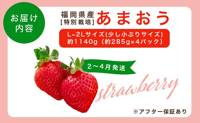 福岡県産 特別栽培 あまおう L~2Lサイズ（少し小ぶりサイズ）約1140g（約285g×4パック）【2～4月発送】 L~2Lサイズ 2~4月発送