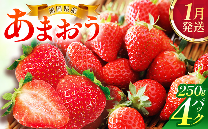 【1月発送】福岡県産あまおう約250g×4パック