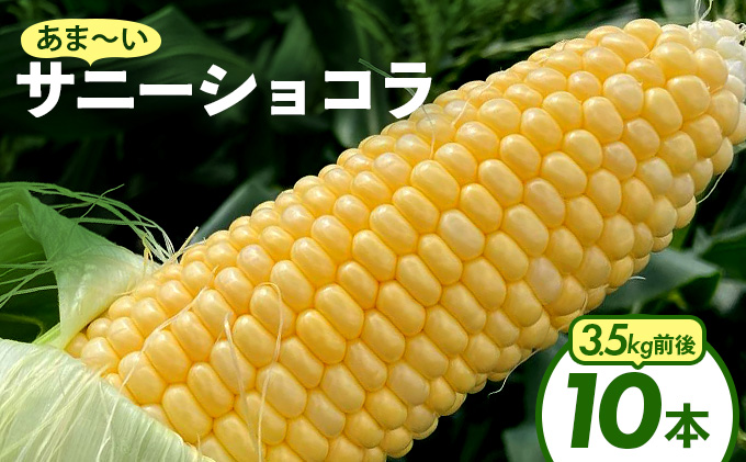KW001 上品な甘さのトウモロコシ「サニーショコラ」(3.5kg前後・10本)