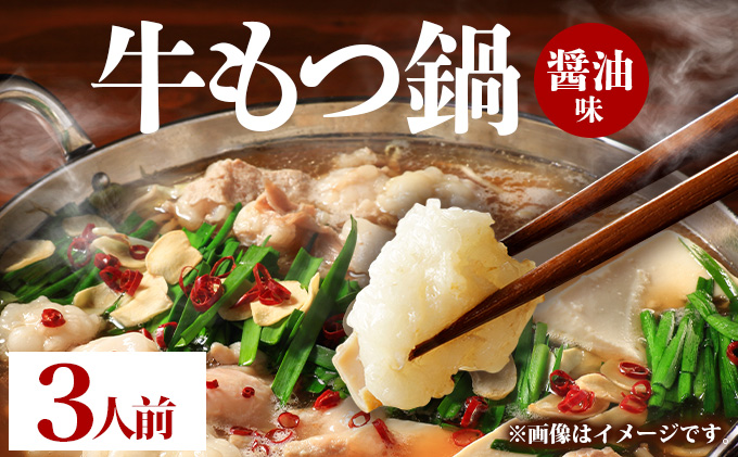 牛もつ鍋 醤油味 3人前セット PE001