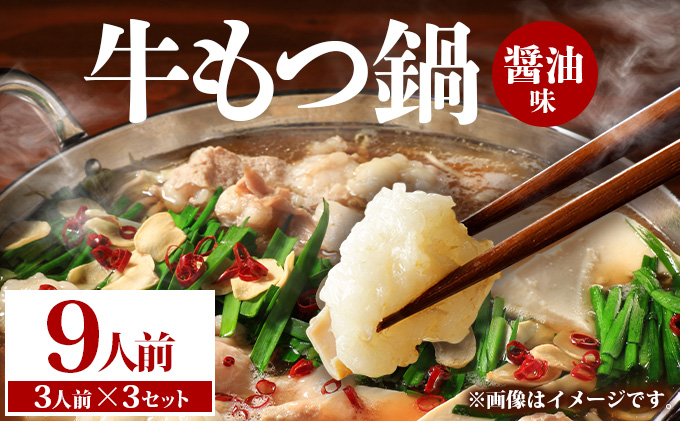 牛もつ鍋 醤油味 9人前（3人前×3セット） PE002