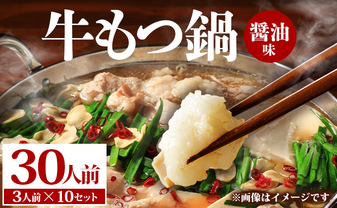 牛もつ鍋 醤油味 30人前（3人前×10セット）PE004
