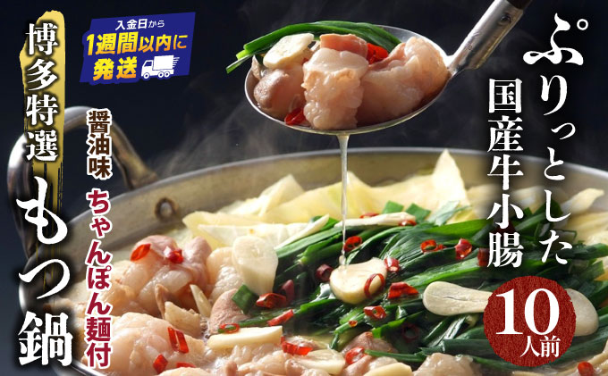 【プリプリの国産牛小腸のみ使用・ボリュームたっぷり10人前】博多特選もつ鍋(醤油味・10人前)【福岡ブランド】| 短期配送 国産 ホルモン 牛 小腸 お取り寄せ 醤油
