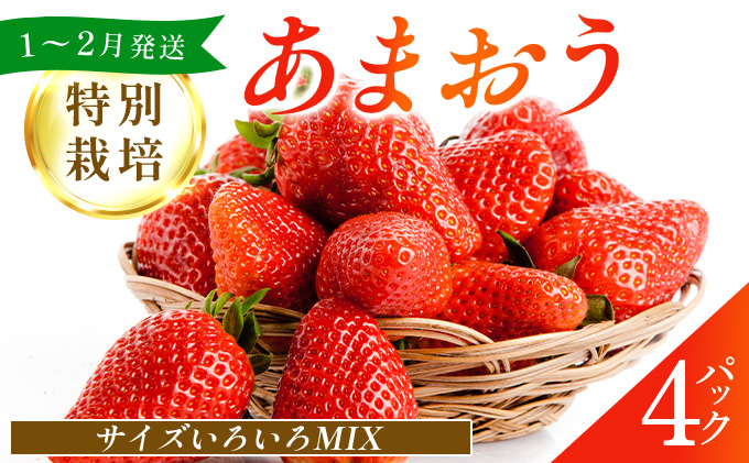 福岡県産 特別栽培 あまおう サイズいろいろMIX 約1140g（約285g×4パック）【1～2月発送】