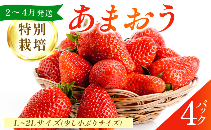 福岡県産 特別栽培 あまおう L~2Lサイズ（少し小ぶりサイズ）約1140g（約285g×4パック）【2〜4月発送】