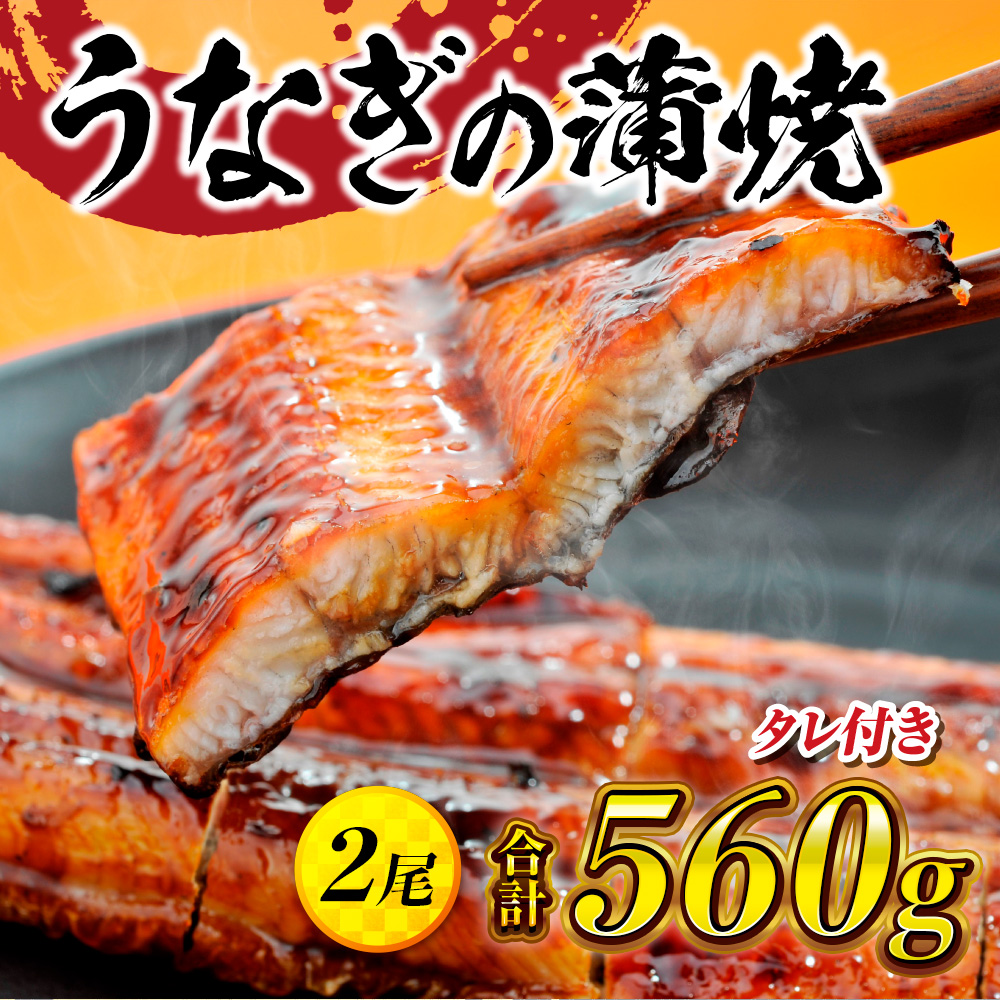 うなぎの蒲焼２尾 タレ付き（１本）　YZ001