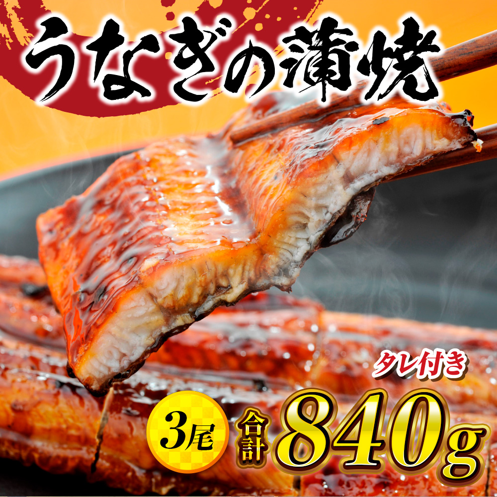 うなぎの蒲焼３尾 タレ付き（２本）　YZ002